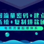 电商流量起爆体系：掌握流量密码 建立爆款系统 复制爆款团队（价值599）