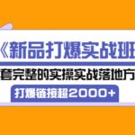 《新品打爆实战班》一套完整的实操实战落地方法，打爆链接超2000 （38节课)