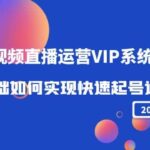 2022短视频直播运营VIP系统课：零基础如何实现快速起号运营（价值2999）