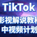 外面收费2980元的TikTok影视解说、中视频教程