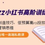 2022小红书高阶训练营：爆文制造技巧，低预算高roi投放技巧，内容营销思维