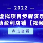 新人实操虚拟项目步骤演示，0基础打造自动盈利店铺【视频课程】