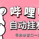 最新哔哩哔哩挂机项目，单窗口5-10元【永久脚本 详细教程】