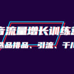 月销1.6亿实操团队·抖音流量增长训练营：起号、选品排品、引流 千川投流等