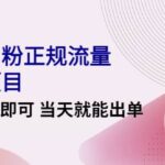 2022实操男粉正规流量变现项目，一台手机即可 当天就能出单【视频课程】