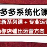 车神陪跑，拼多多系统化课程，全新系列课 专业运营给你店铺出运营方向