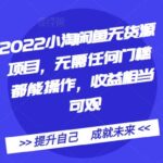 2022小淘闲鱼无货源项目，无需任何门槛都能操作，收益相当可观