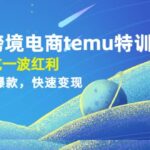 拼多多跨境电商temu特训营：先入局吃一波红利，从0到1打造爆款，快速变现