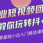 专业短视频团队教你玩转抖 0基础小白入门精选课程（价值399元）