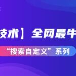 【实操技术】全网最牛最全的“搜索自定义”系列！价值698元