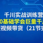 千川实战训练营：带你0基础学会巨量千川投放，助力短视频带货（21节完整版）