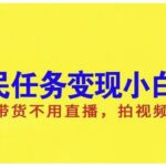 抖音全民任务变现小白课，不用带货不用直播，拍视频就能赚钱