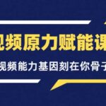 短视频原力赋能课Pro，把短视频能力基因刻在你骨子里的课（价值4999元）