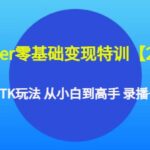 tkinter零基础变现特训【20期】系统传授TK玩法 从小白到高手 录播 直播课