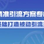 制定精准引流方案专栏6.0，0基础打造被动引流系统