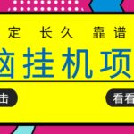 挂机项目追求者的福音，稳定长期靠谱的电脑挂机项目，实操5年 稳定月入几百