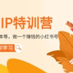 小红书IP特训营