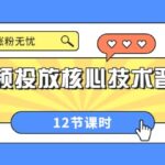 短视频投放核心技术晋级课：掌握投放，涨粉无忧（12节课时）