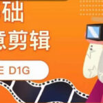 THE D1G零基础创意剪辑课，第一馆创意剪辑实操课-49节完整版