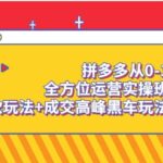 拼多多从0-1全方位运营实操班：爆款玩法 成交高峰黑车玩法（价值1280）