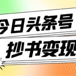 外面收费588的最新头条号软件自动抄书变现玩法（软件 教程）