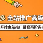 拼多多全站推广高级实操：从破零开始全站推广整套高阶实操玩法