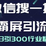 微信搜一搜霸屏引流课，打造被动精准引流系统，轻松日引300行业精准粉【无水印】