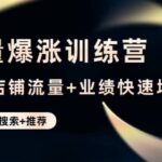 流量爆涨训练营：打造店铺流量 业绩快速增长 (爆款 搜索 推荐)