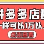 大凯电商·拼多多店群单店一样可以产出1万5以上利润【付费文章】