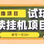 【偷撸项目】外面收费998的试玩阅读协议挂机项目 单号一天30 【脚本 教程】