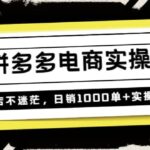 不灭《拼多多电商实操课》开店不迷茫，日销1000单 实操落地（价值299元）