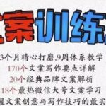 龙小天《文案训练营》全面系统解决文案写作难题！