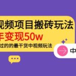 《老吴·中视频项目搬砖玩法，一年变现50w》目前看过的的最干货中视频玩法