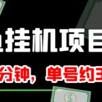 咸鱼挂机单号3元/天，每天仅需2分钟，可无限放大，稳定长久挂机项目