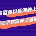 发型师抖音课线上课，手把手教你美业落地实战【41节视频课】