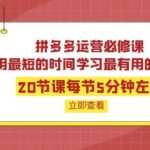 拼多多运营必修课：20节课每节5分钟左右，用最短的时间学习最有用的知识