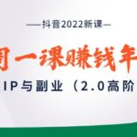 抖音2022新课：一周一课赚钱年课：个人IP与副业（2.0高阶版）