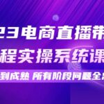 2023电商直播带货全流程实操系统课：从起号到成熟所有阶段问题全总结