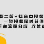 视频二剪 抖音中视频项目：一条视频获得3个平台流量分成 收益250% 价值4980