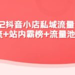 2022抖音小店私域流量引爆课：站外Y.L 站内霸榜 流量池玩法等等