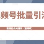 视频号批量引流，霸屏行业关键词（基础班）全面系统讲解视频号玩法【无水印】