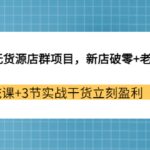 拼多多无货源店群项目，新店破零 老店拯救 12节系统课 3节实战干货立刻盈利