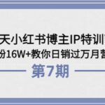 28天小红书博主IP特训营《第6 7期》4个月涨粉16W 教你日销过万月营收30万