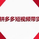 2022风口红利期-拼多多短视频带货，适合新手小白的入门短视频教程