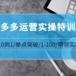 青云:拼多多运营实操特训营：从0到1/单点突破/1-100/带领实操 价值2980元