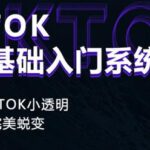 Tiktok实操进阶课程，体验从tiktok小透明到大佬的完美蜕变