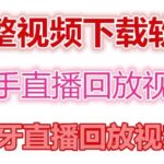 快手直播回放视频/虎牙直播回放视频完整下载(电脑软件 视频教程)