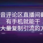 抖音评论区直播间截流，有手机就能干，可大量复制引流的方法