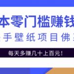 零成本零门槛赚钱项目：抖音快手壁纸项目佛系玩法，一天变现500 【视频教程】