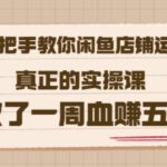 2022版《手把手教你闲鱼店铺运营》真正的实操课做了一周血赚五百(16节课)